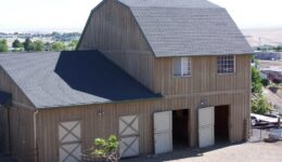 NEIGHbors Horse Motel (1)