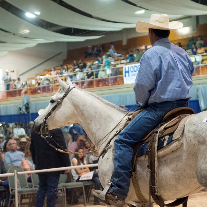 Pendleton Cattle Barons
